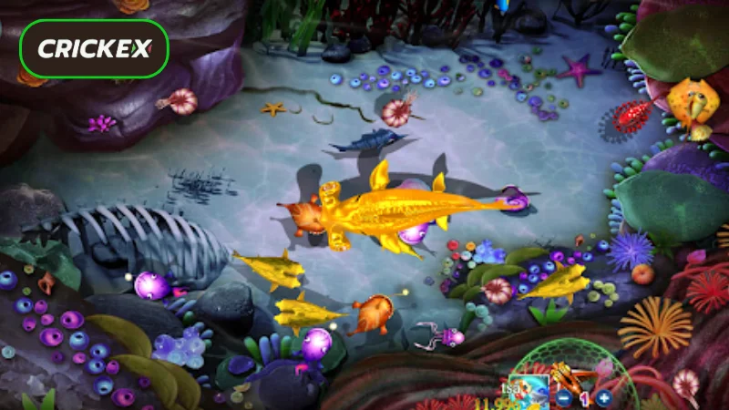 Advanced Tips for Bigger Wins in Crickex Fishing