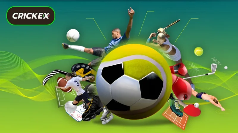 An Overview of the Crickex Sports Platform