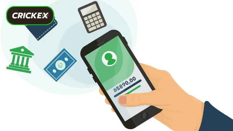 Detailed instructions on withdrawing money from Crickex