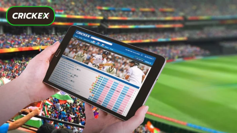 Overview of Crickex Crash