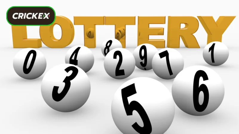 Understanding Crickex Lottery